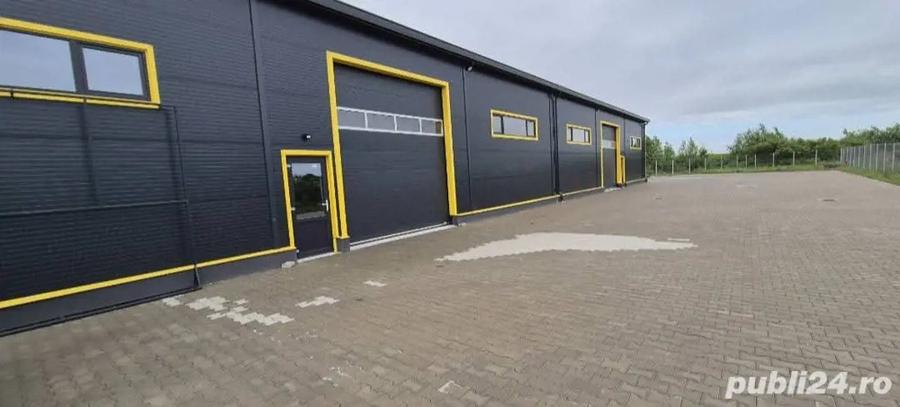 Hala industriala de inchiriat - Zona Aurel Vlaicu - 4