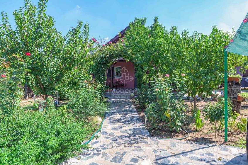 Vanzare casa individuala, curte, Mihailesti, Giurgiu - 9