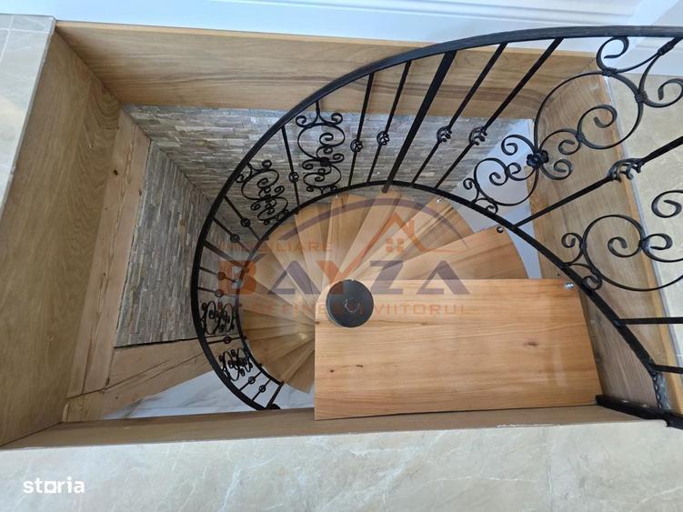 Casa superba P+E+M, teren 5.000 mp Viile Cicarlaului - 5