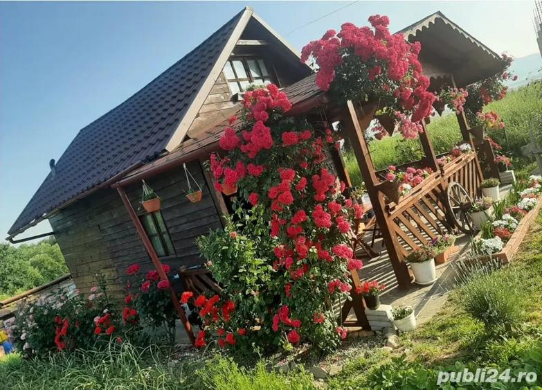 Casa ?i teren - 3