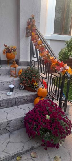 Casa central deosebita - 6