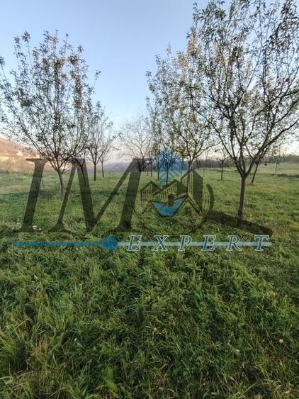 Teren intravilan în Paclisa 1785mp. - 6