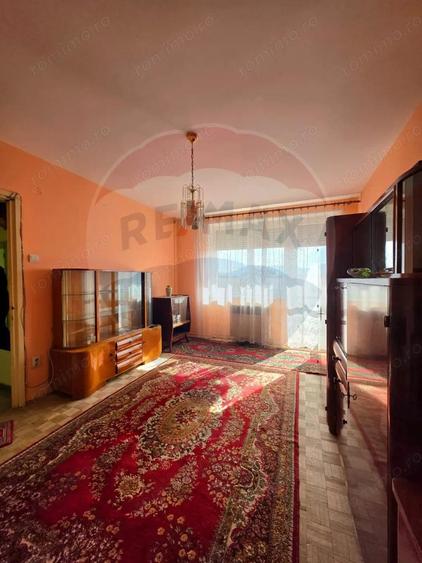 Apartament doua camere Gura Campului Medias - 10