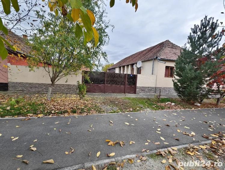 Vand casa Voiteg - 7