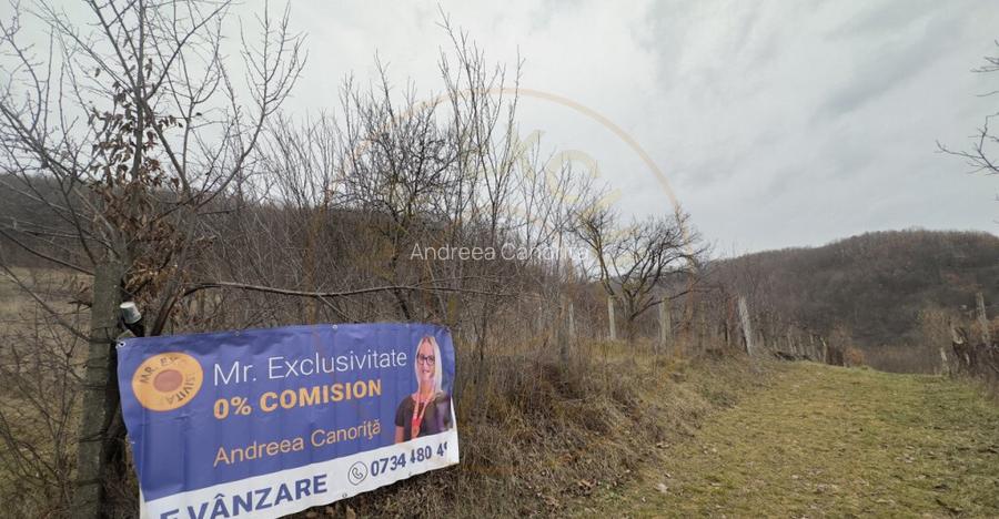 0% Comision Teren intravilan 814 MP-Stefanesti-Valea Mare Po