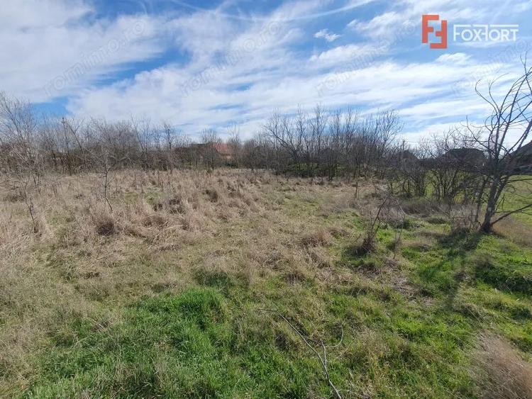 Teren intravilan 2840 mp cu fundatie - Jebel - 5