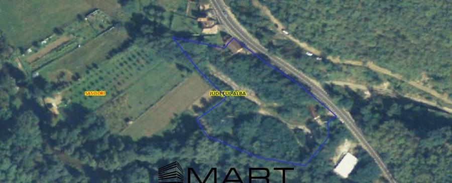 Teren extravilan 7432 mp, cu cabana de lemn Capalna AB - 6