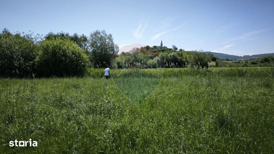 Teren de 15360 mp, în Blăjel