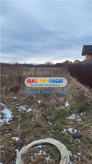 Vindem teren intravilan 3500 mp Smeura - 3