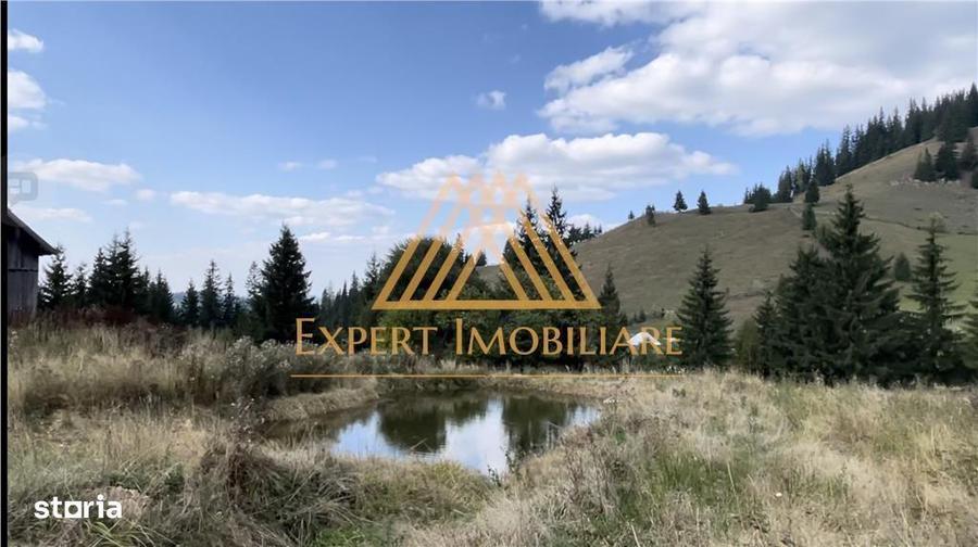 3 Hectare teren in varf de munte si 2 cabane pe traseul Via Transilva - 2