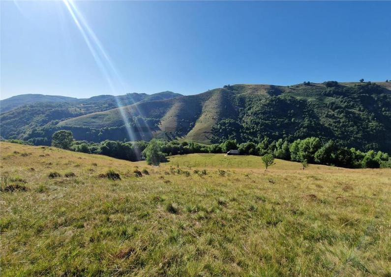 RECO teren extravilan Remeti - 4