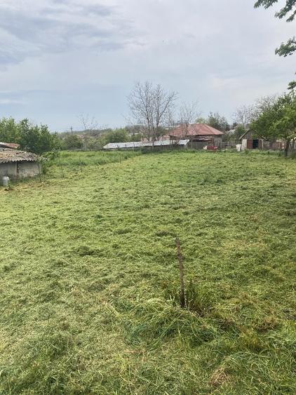 Vand teren Comana - 5