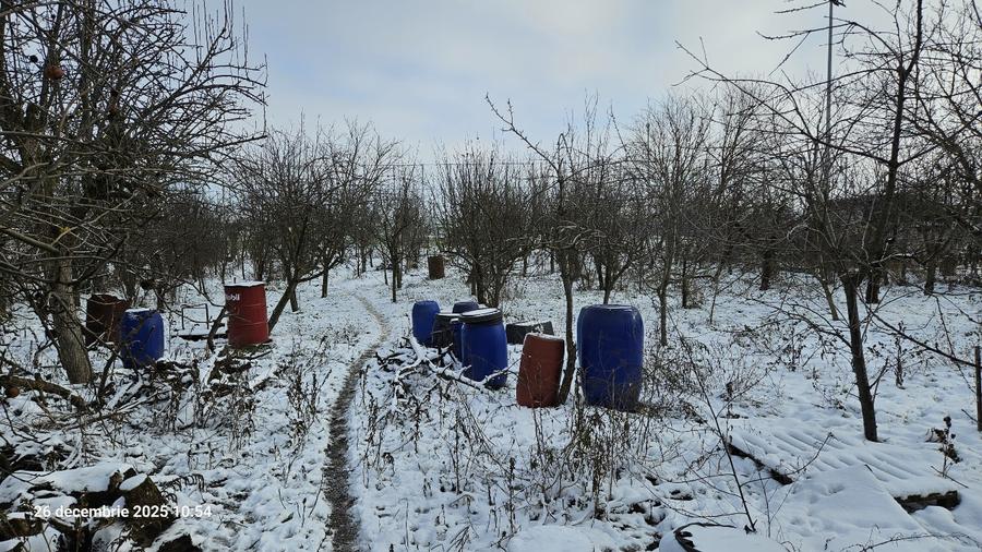 Casa de vanzare Singureni, Giurgiu - 5