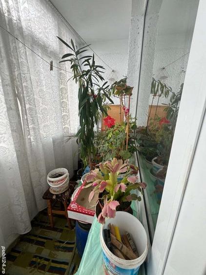 Vind apartament 2 camere zona Darmane?ti - 6