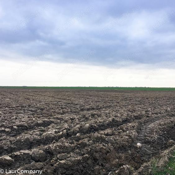 Teren Extravilan Costesti Arges - 2