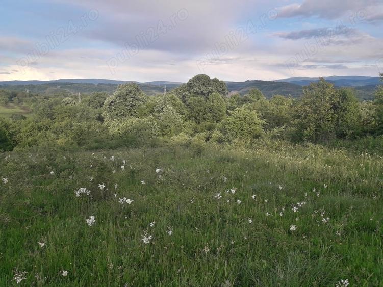 Teren Resita 4350 mp centura Resitei Terova-km 8 negociabil - 4