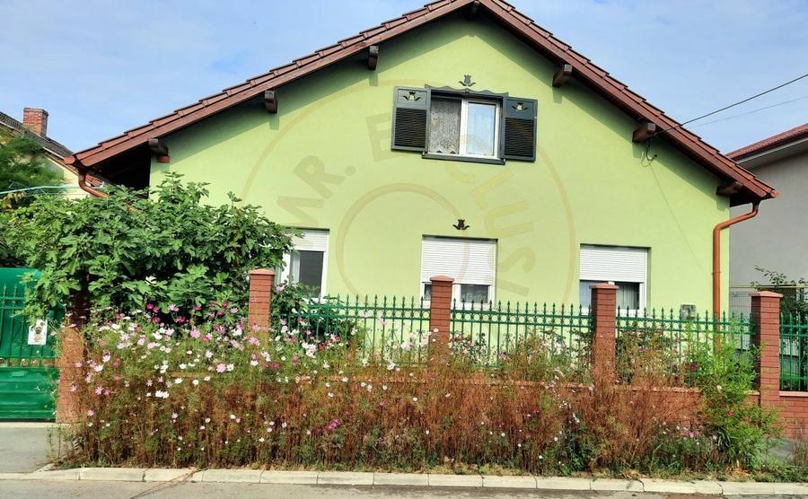 De Vanzare Casa Vanatorilor 9 ari teren - 9