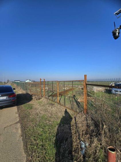 Terenuri de vanzare - Ilfov, Copaceni - 3