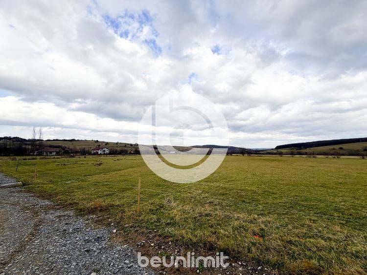 Teren intravilan in Tocile - 49 euro/mp - 4354 m² - 2 fronturi - 17