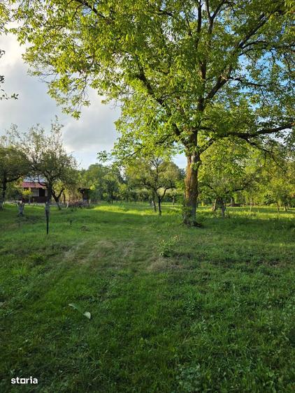 Teren 2500 mp POTEN?IAL BUSINESS / DEZVOLTARE Breaza - 8