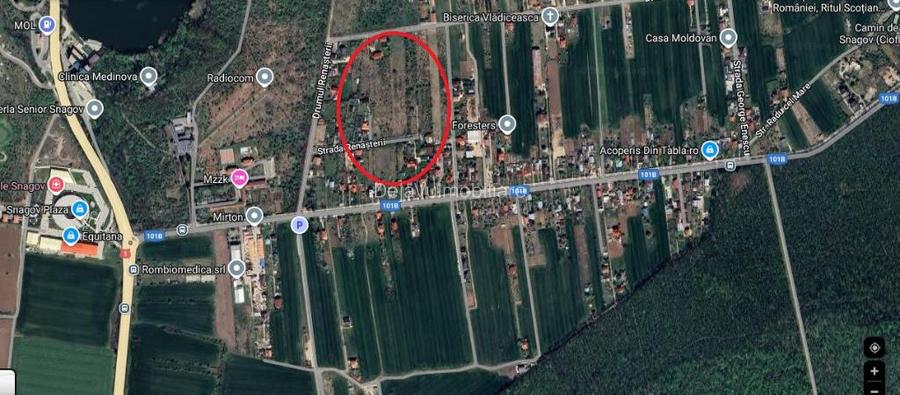 Teren Snagov Vladiceasca 3300 Mp New 2025 Teren Snagov Vladiceasca 3300 Mp New 2025