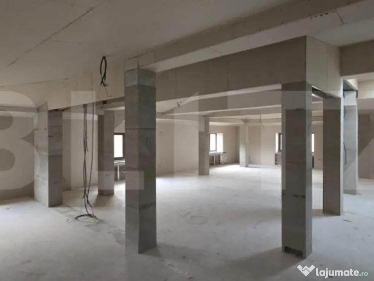 Spa?iu comercial tip casa, D+P+M, 440 mp, zona centrala C - 4