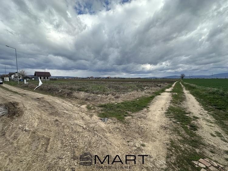 Teren intravilan 520 mp Harman - 2