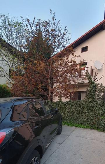 Vanzare vila 5 camere | Langa padure | Bucuresti | Baneasa - 16