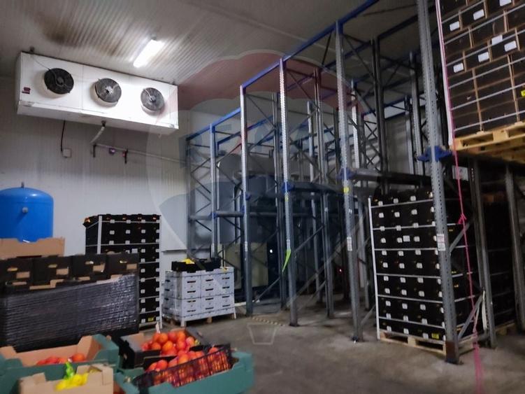 Depozit frigorific  hala ideal legume, fructe, flori - 4