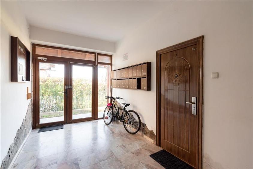 RECO APARTAMENT CU O CAMERA IN PALEU - 7