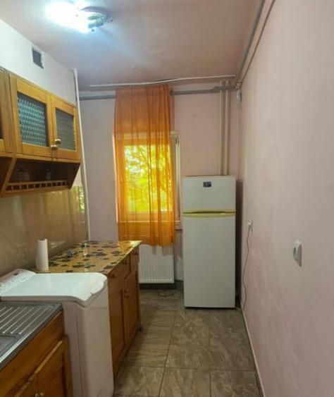 Apartament cu o camera Sagului - 11