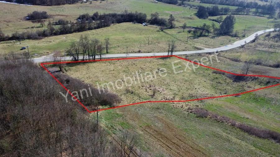 Teren 10.000 mp de vanzare in comuna Valea Ia?ului, jude? Arge?. - 12