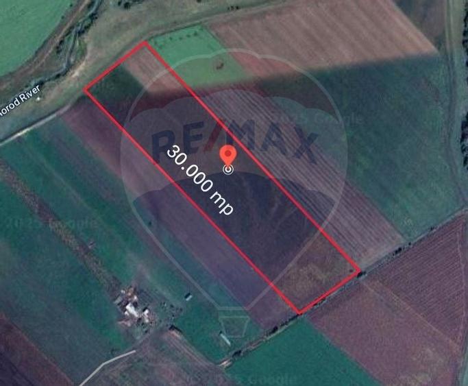 Teren de vanzare / extravilan 30.000mp/ Halchiu - 4