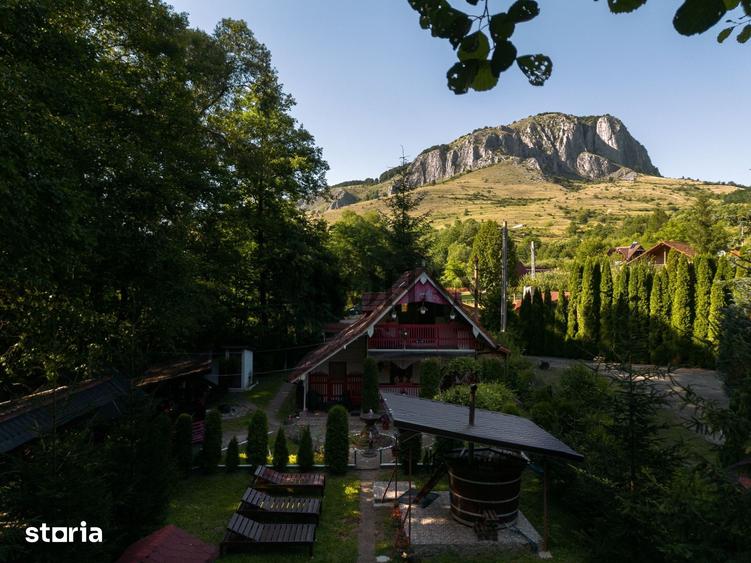Casă cu 3 camere cu Teren 350 Mp în Livezile