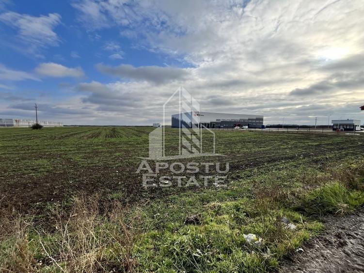 Teren de vanzare 30.400 mp, langa Continental si Hamilton. - 1