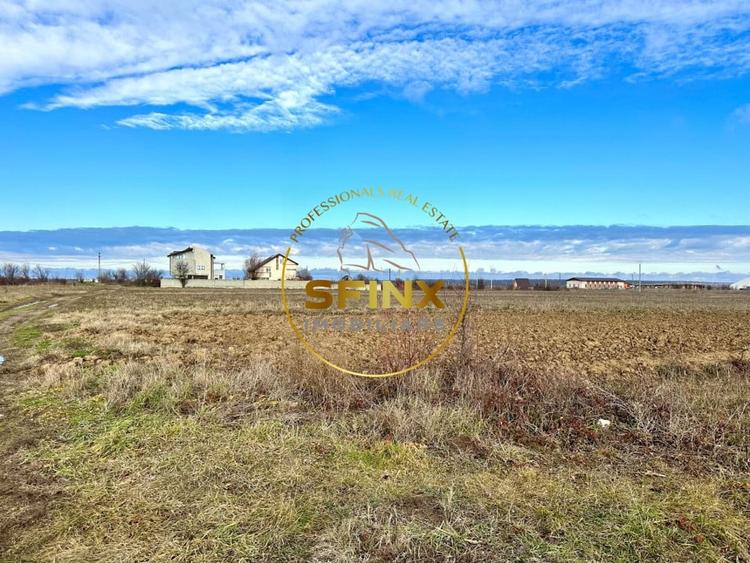 LOT de casa Tartasesti Primarie | teren cu potential - 3