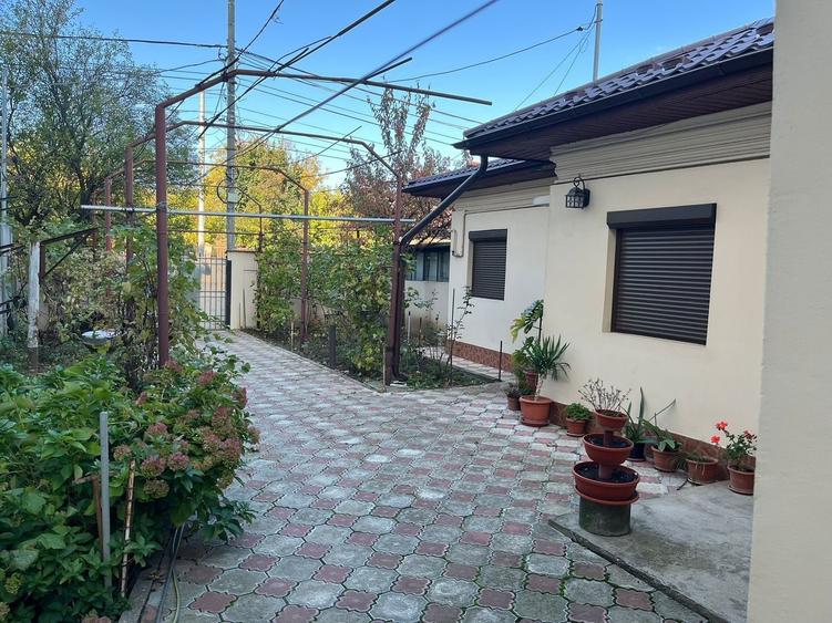 TEREN 331MP | DESCHIDERE 12M - 2