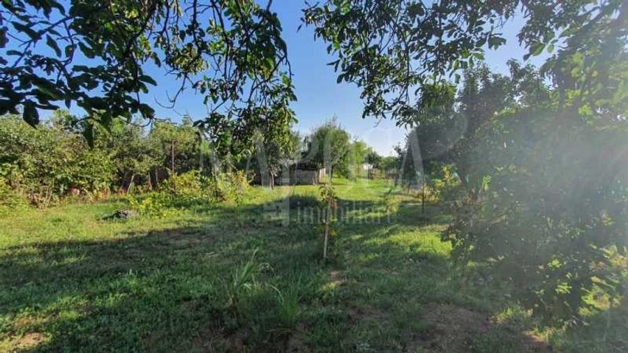 Casa 4 camere de vanzare in Biharia - 12