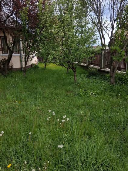 Casa de vanzare - municipiul Toplita, Judet Harghita - 9