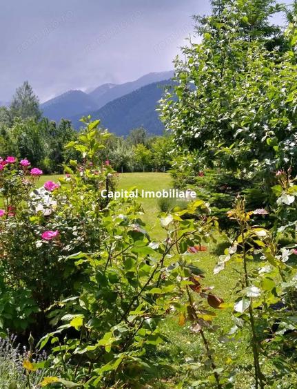 House for sale, 5 Rooms, 180 sqm, Valea Dejani - 12