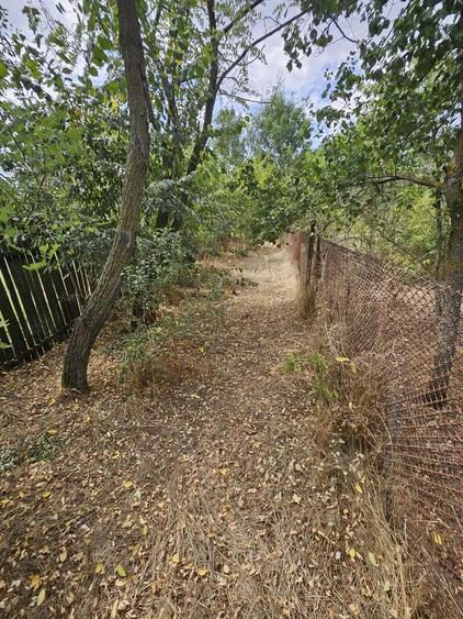 Gospodarie cu 2 case Comuna Trivale Mosteni, sat , la 30 km de Alexandria, jude?ul Teleorman 20 000 - 6