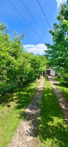 Proprietar vând casă în Valea Lupului – poziție excelentă, grădină superbă și po - 4