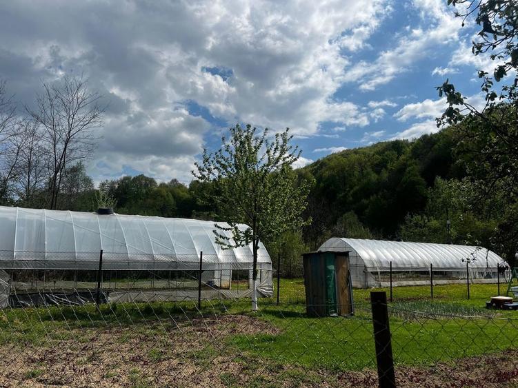 De vanzare teren Telega - 1