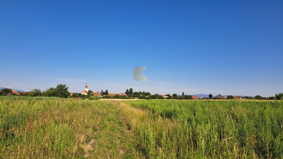 Posibilitate RATE | Teren Bod | curti constructii | utilitati | PUZ, - 14