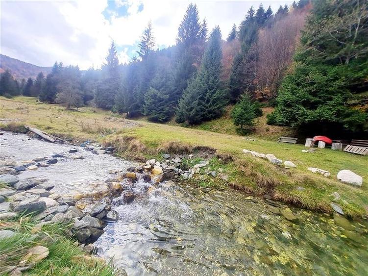 Parcela urbanizabila spectaculoasa,4.600 mp, priveliste emblematica:Piatra Craiu - 4