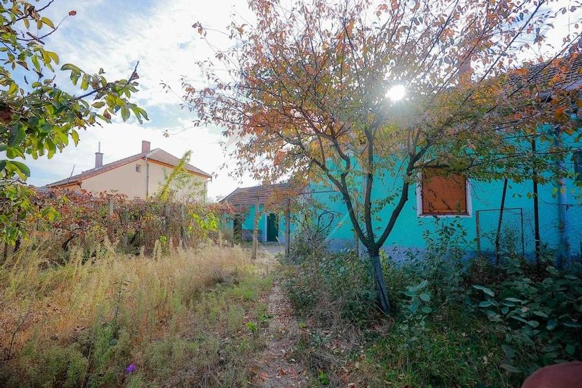 De vanzare casa cu teren de 3036 mp in Bors - 13