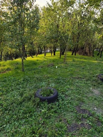 Casa de vanzare - teren 2357 mp in comuna Pietrari - 7