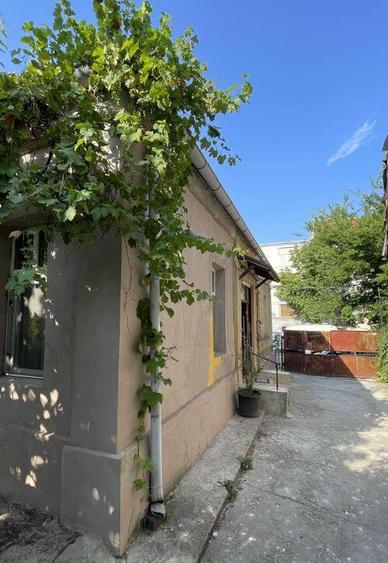 Casa + Anexa | Traian | Pache | Popa Nan | 400 mp- 262 curte - 12