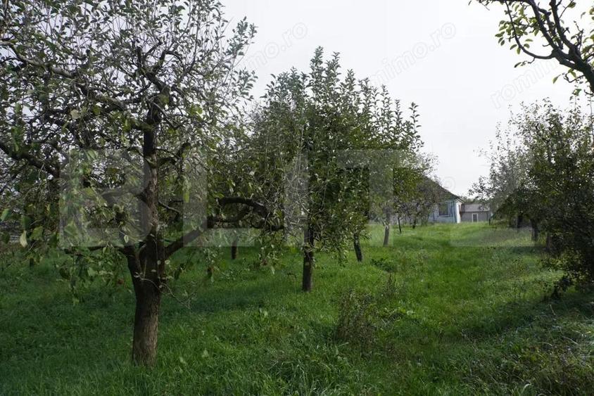 Casa 140 mp, cu teren 3.800 mp, Tatara?ti - 5