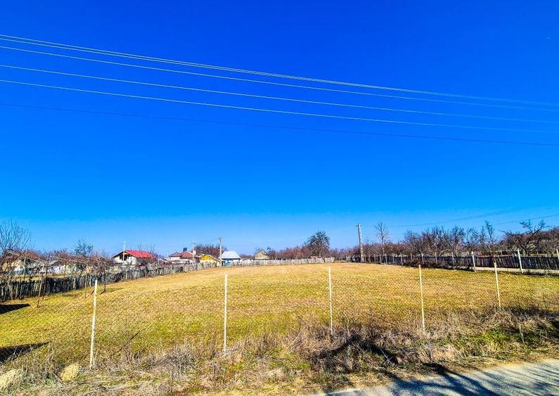 Teren Intravilan Cuca Arges - 9